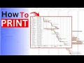 How to Print Your Project Schedule Professionally MS Project