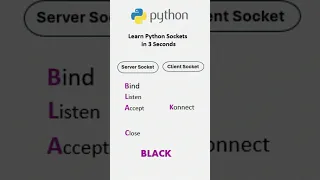 Python Basics The Best Way to Learn Python Socket 2025 in Just 3 Seconds