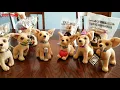 Taco Bell talking Chihuahuas collection Yo quiero Taco Bell