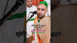 Issawa عيساوة عروبي عيساوي على الشيخ الكامل المقدم محمد السملالي فاس 2025 