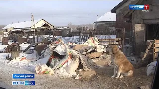 Всё поголовье свиней, находящееся в зоне риска, уничтожено