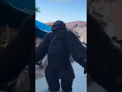 #bts