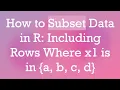 How to Subset Data in R Including Rows Where x1 is in a b c d
