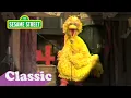I Just Adore Four Song with Big Bird Sesame Street Classic