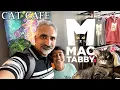Charlotte s First Cat Cafe Charlotte NC Cat Cafe Noda Charlotte Review 2022