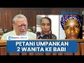 Download Lagu Petani Kulit Putih di Afrika Selatan Tembak dua Perempuan Buang Mayat ke Kandang untuk Pakan Babi