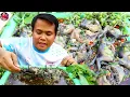 Download Lagu ต้มซั่วอึ่งแม่ไข่ ซดน้ำโก้กๆ แซ่บนัวคักอิหลี