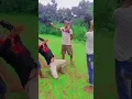 Download Lagu Hamar Jonne Tui Moris Na |💔 হামার জন্য তুই মরিস না | Shankar Tantubai | 🥀 #youtubeshorts #shorts 😭