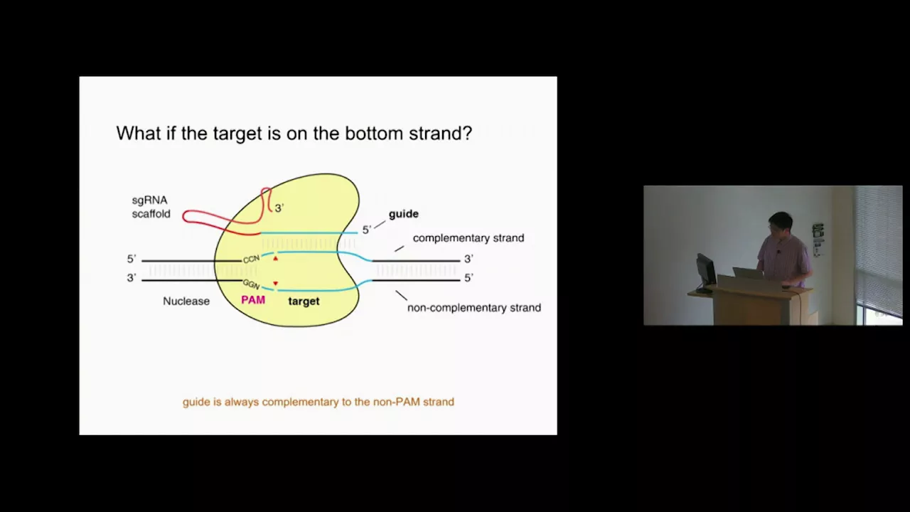BroadE: CRISPR in a nutshell (2017)