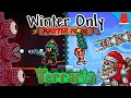 Can I Beat Terraria Master Mode Using Only Winter Weapons