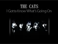 Download Lagu The Cats - I Gotta Know What's Going On