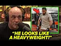 Download Lagu Islam Makhachev Surprises MMA Community By His Bigger Look Ahead of JDM Fight | UFC 322