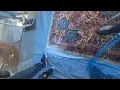 Correcting Dye Migration on a Wool Area Rug - Inland Empire