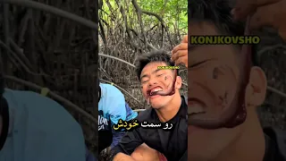 به این چوب دست نزن           دندنها