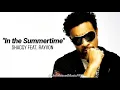 "In the Summertime" Shaggy feat. Rayvon