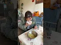 Download Lagu Wie heeft deze nasynchronisatie bedacht om mensen aan het lachen te maken? Content-geïnspireerde zo