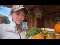 Here s what I earn and sell at my farm stand