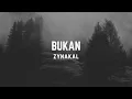 Download Lagu Zynakal - Bukan (Lirik Video)