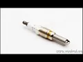 Motorcraft champion similar spark plug SP-514