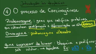 Introdução às Neoplasias - Resumo - Patologia Geral