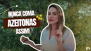 Agora eu entendi a importância das oliveiras para a Grécia | CURIOSIDADES DA LAURA 21