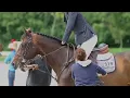 Robin Schulz ft. KIDDO -All We Got//Equestrian