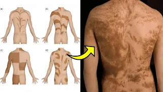 30 COISAS QUE VOCÊ NÃO SABIA EM 10 MINUTOS!!! 🤯🔥 [261]