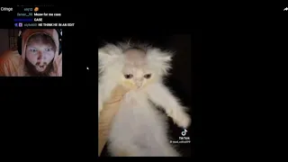 caseoh reacts to craziest tiktok videos compilation 