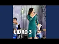 CiDRO 3