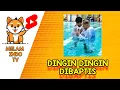 Download Lagu 《SUBSCRIBE YUK》👇 dingin dingin dimandiin nanti masuk kristen!!!