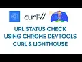 How To Check URL Status Using Chrome DevTools cURL Lighthouse