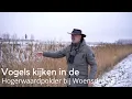 Lagu Vogels kijken in de Hogerwaardpolder #1698