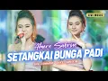 Download Lagu SETANGKAI BUNGA PADI - ALMERA SABRINA ft. NIRWANA COMEBACK | LIVE MUSIC