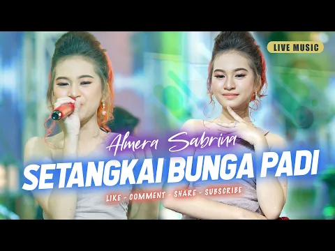 Download MP3 SETANGKAI BUNGA PADI - ALMERA SABRINA ft. NIRWANA COMEBACK | LIVE MUSIC