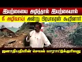 ஜனாதிபதியின் சேவை பாராட்டுக்குரியது! இயற்கையை அழித்தால் இயற்கையால் நீ அழிவாய்!