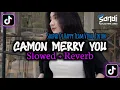 Lagu Dj Camon Merry You (Slowed + Reverb)