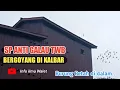 Tes SP Anti Galau TWB Andi Sufar bergoyang di Kalbar | suara walet terbaik 2022