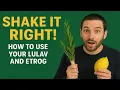 Download Lagu Shake It Right! How to Use Your Lulav and Etrog Like a Pro this Sukkot