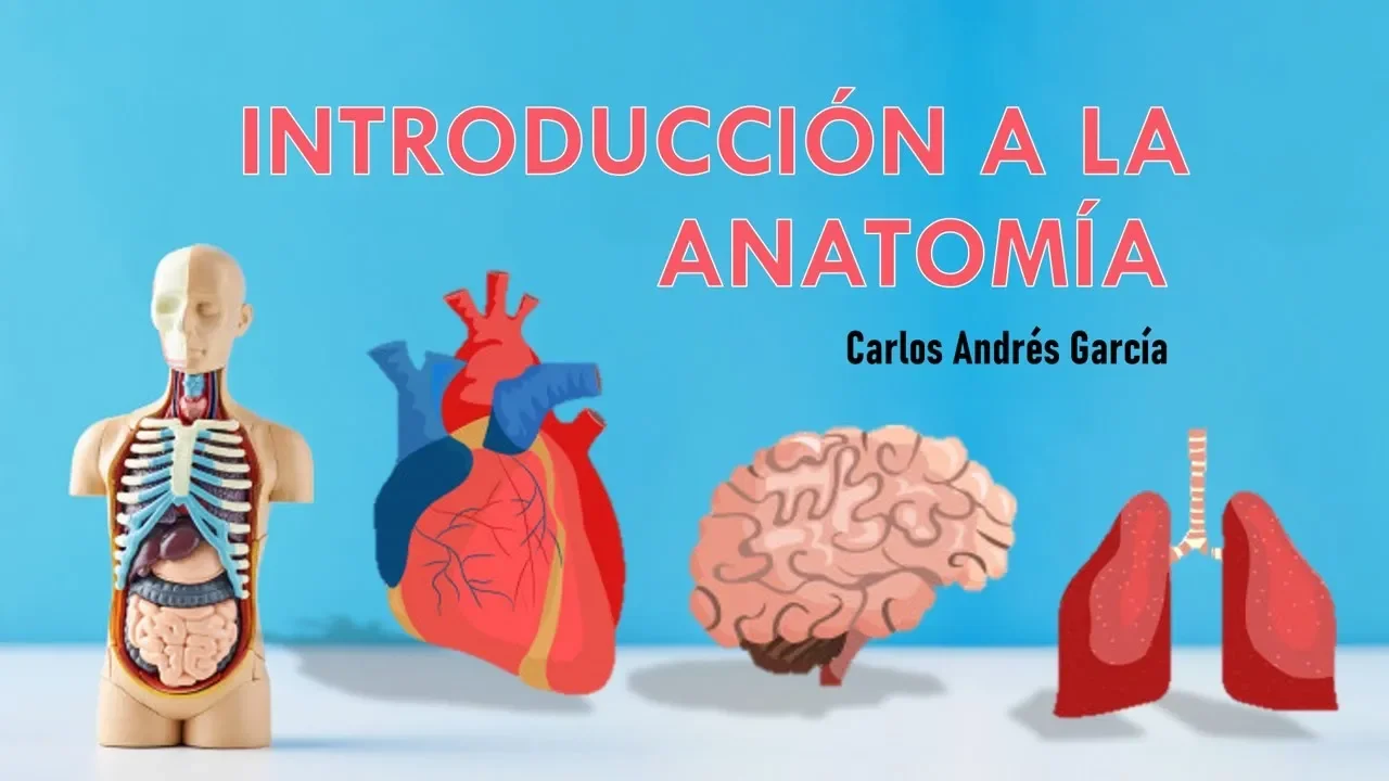¡INTRODUCCIÓN A LA ANATOMÍA HUMANA!