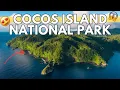 Cocos Island National Park Exploring its Enigmatic Beauty Travel Guide