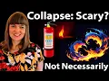 Collapse vs Paradigm Shift Collapse Does Not Have to Be Scary