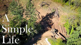 Clear Cut to a Garden?