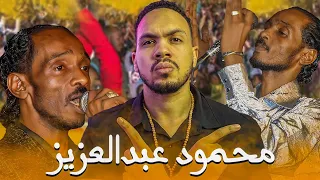 السيرة الذاتية محمود عبد العزيز الحوت الناقشه 