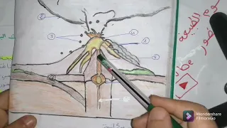 البراكين الانفجارية والطفحية علوم الطبيعة والحياة سنة الثالثة متوسط 