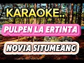 Download Lagu PULPEN LA ERTINTA KAROKE LAGU KARO