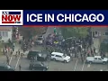 Download Lagu ICE clears out neighborhood in Chicago