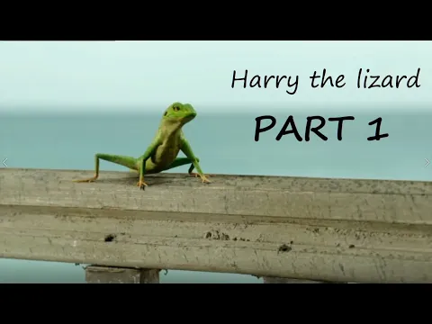 Download MP3 Harry the Lizard - Part 1 (Death in Paradise - behind the scenes)