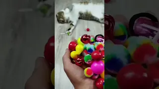 Cat Barsik 🖍🌈 Marbles ❤ Collection Reverse video