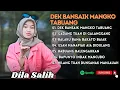 Download Lagu DILA SALIH - DEK BANSAIK MANGKO TABUANG - GADANG TUAH DI GALANGGANG||LAGU POP MINANG TERPOPULER 2025