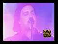Los Pericos - Runaway - Eso Es Real (Live)